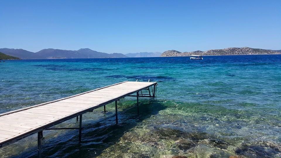 Готель Mavi Akvaryum Pension Sogut  Екстер'єр фото