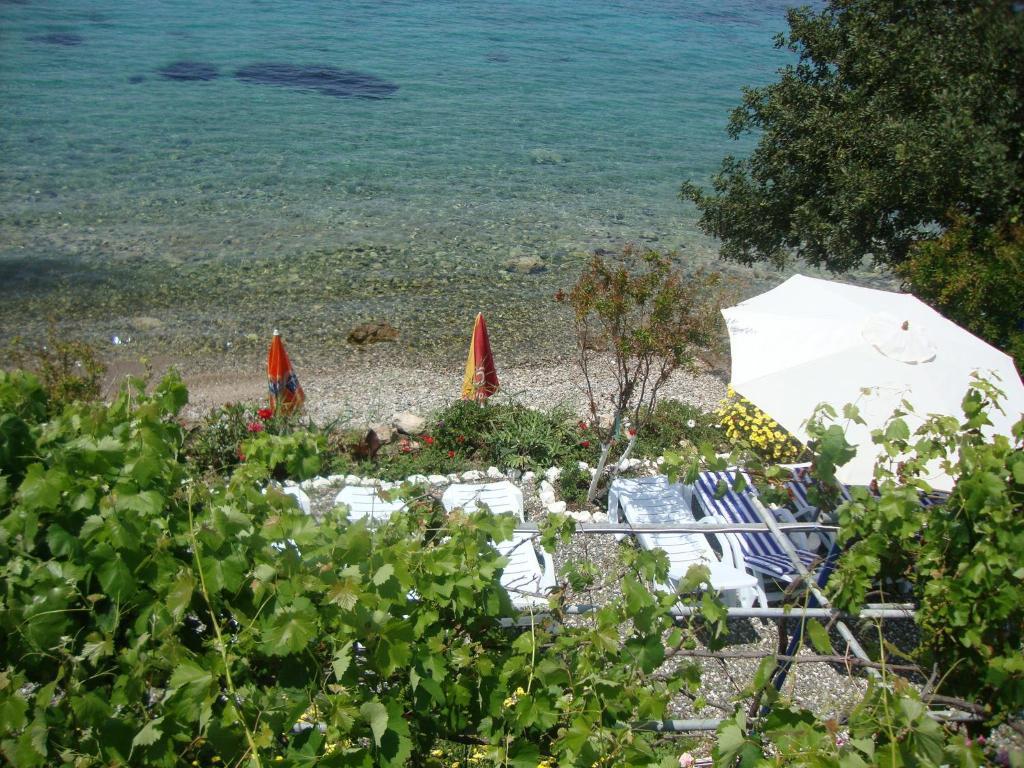 Готель Mavi Akvaryum Pension Sogut  Екстер'єр фото