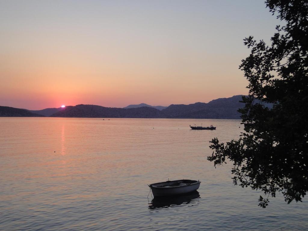 Готель Mavi Akvaryum Pension Sogut  Екстер'єр фото