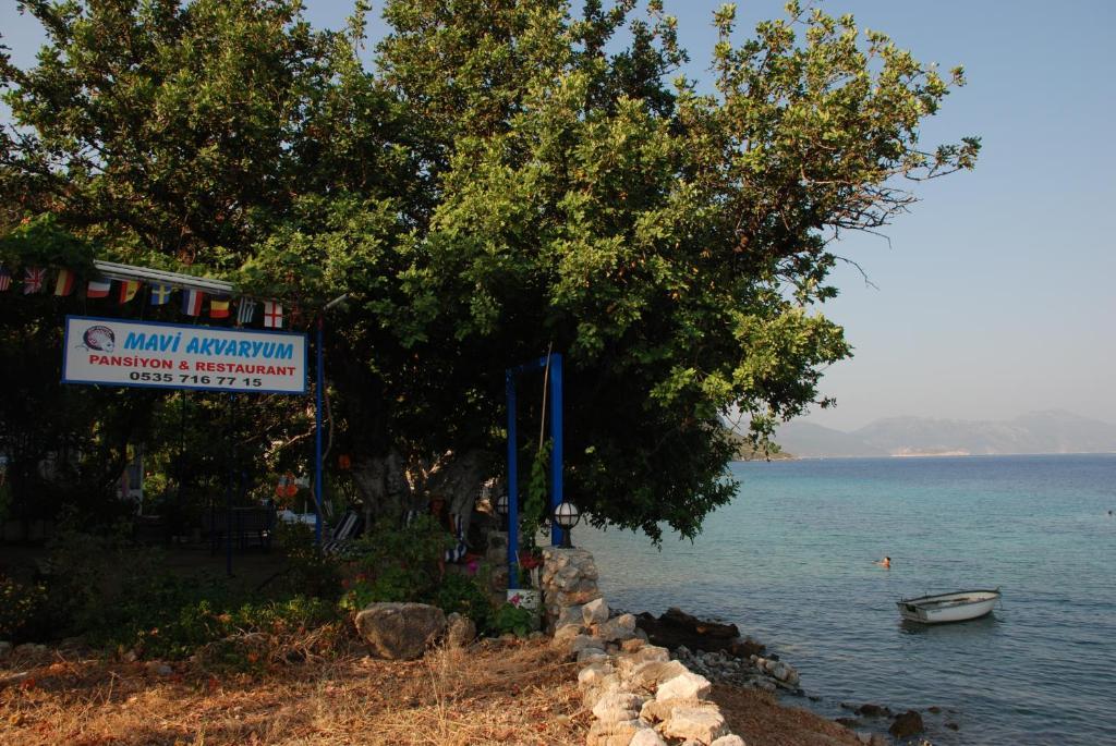 Готель Mavi Akvaryum Pension Sogut  Екстер'єр фото