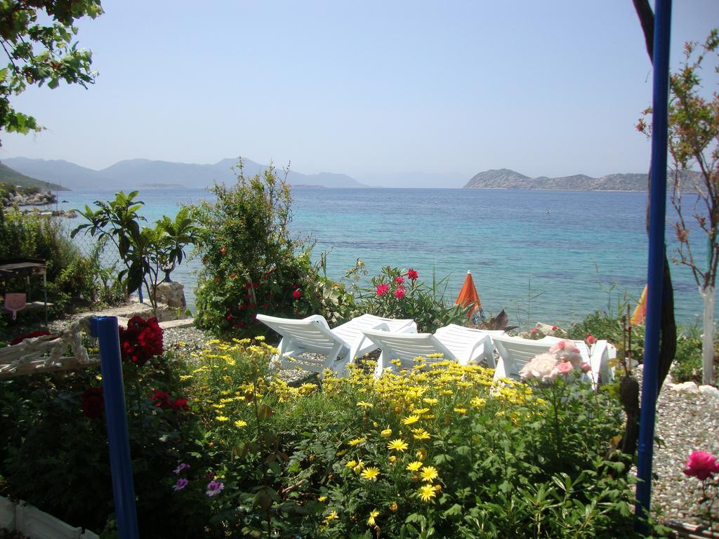 Готель Mavi Akvaryum Pension Sogut  Екстер'єр фото